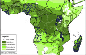 Read more about the article A Malaria Ecology Index Predicted Spatial and Temporal Variation of Malaria Burden and Efficacy of Antimalarial Interventions Based on African Serological Data