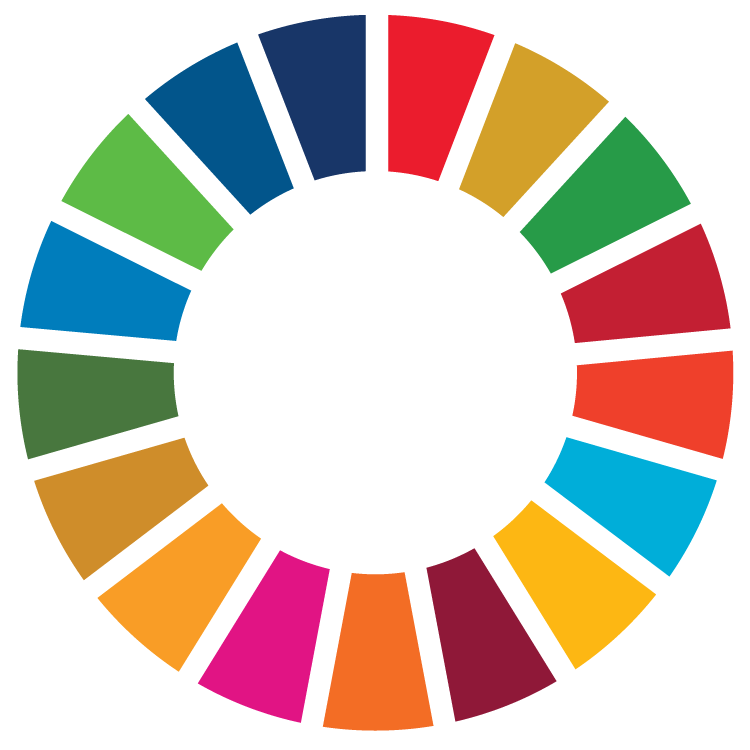 Read more about the article SDG Costing & Financing for Low-Income Developing Countries