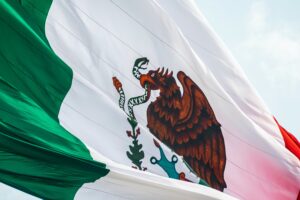 Read more about the article Elite Coalitions, Limited Government, and Fiscal Capacity Development: Evidence from Bourbon Mexico