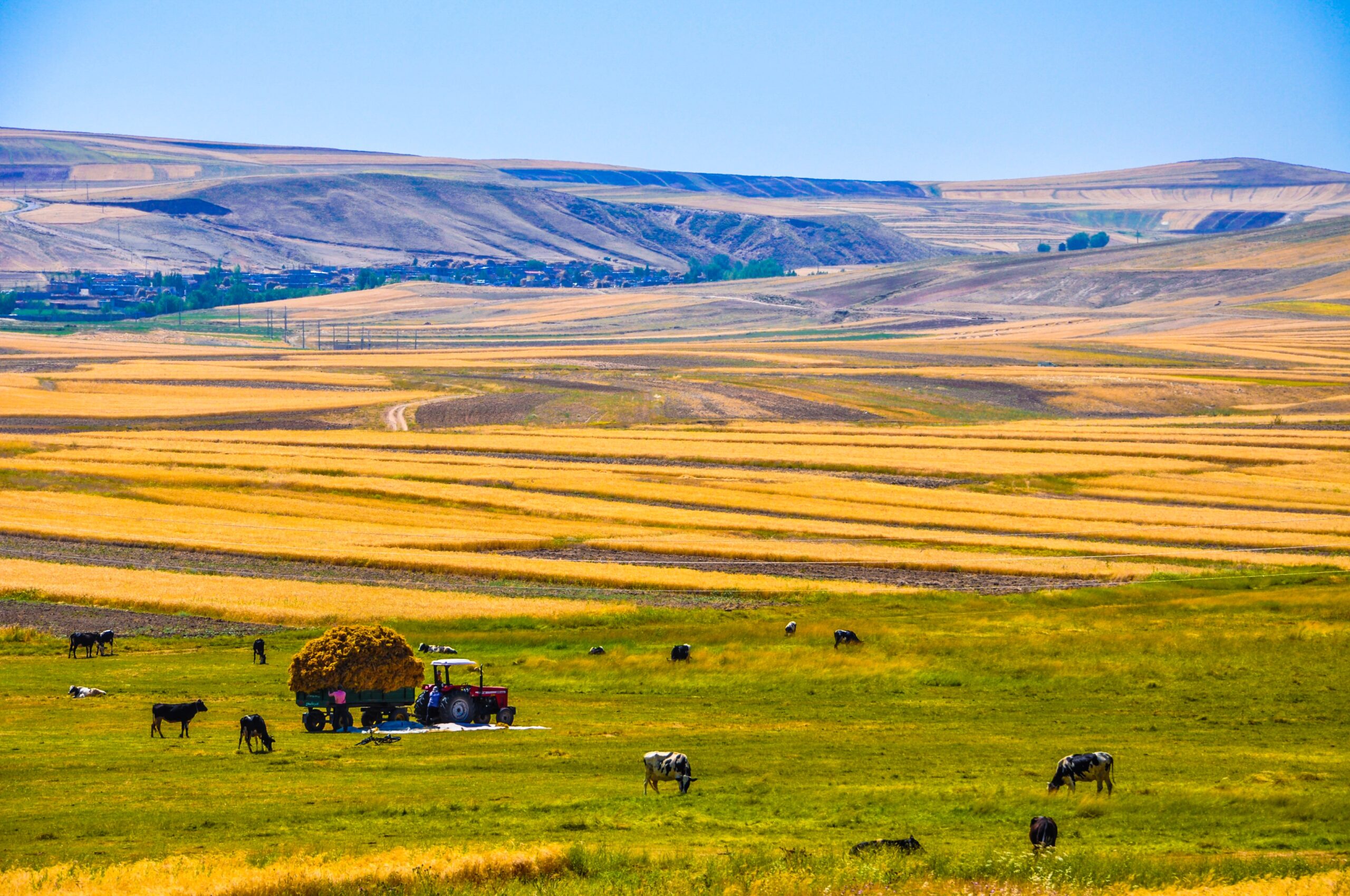 You are currently viewing Global and regional drivers of land-use emissions in 1961–2017