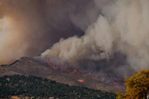 Read more about the article Exposures and behavioural responses to wildfire smoke