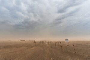 Read more about the article Dust and Death: Evidence from the West African Harmattan